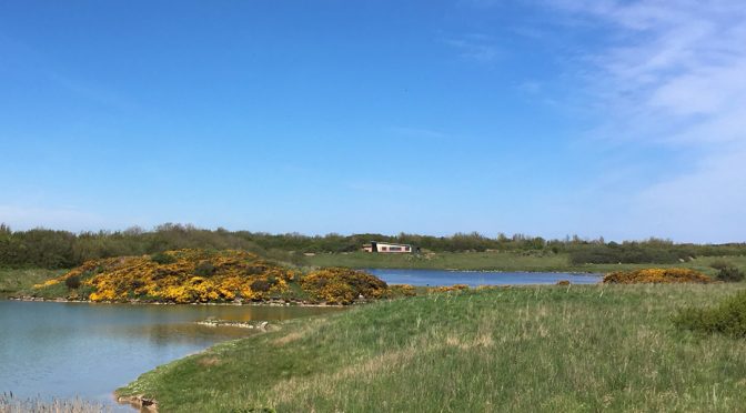 Hauxley Wildlife Centre