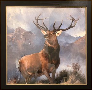 Monarch of the glen at the Kirkhouse Inn