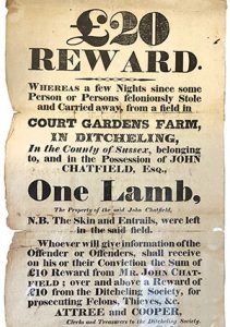 Reward notice for stealing a lamb