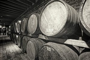 Whisky barrels at Glenkinchie Distillery