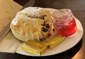 A scone at Café 1496